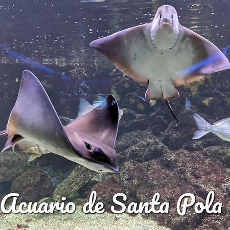 Best Holiday Santa Pola Luaran gambar